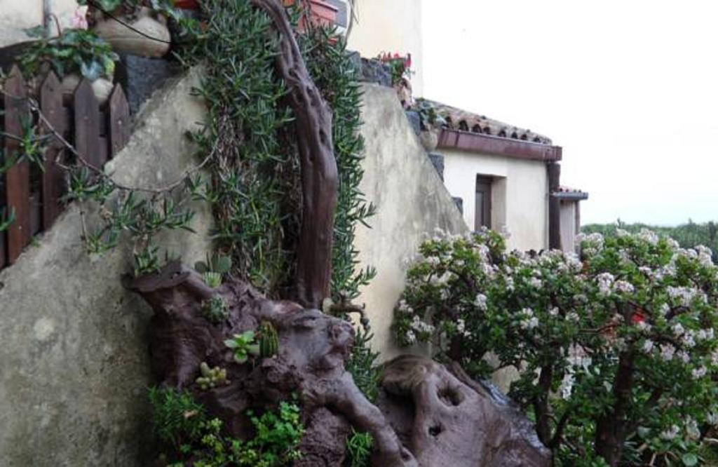 Agriturismo Ruvitello Misterbianco Pokoj fotografie